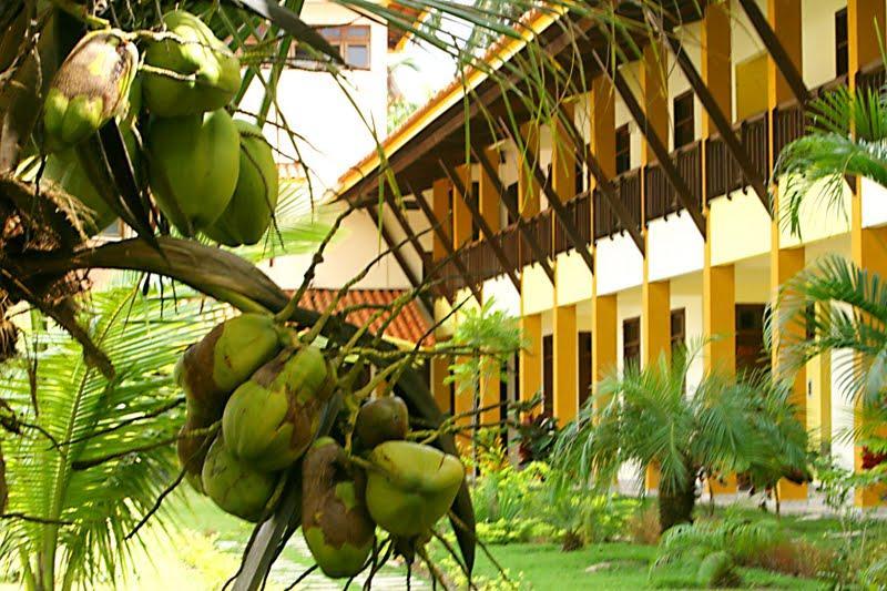 Girassol Praia Hotel Guaibim Exteriör bild